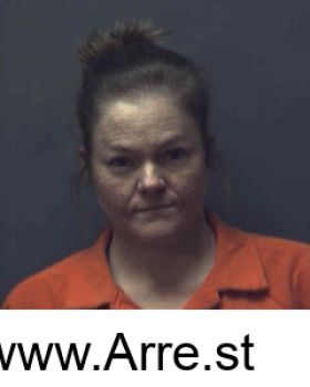 Julie  Miller Mugshot