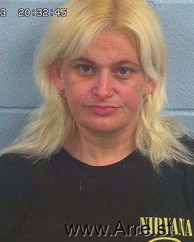 Jamie Diane Martin Mugshot