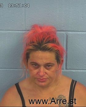 Jamie Diane Martin Mugshot