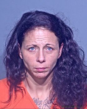 Jennifer Leigh Mitchell Mugshot