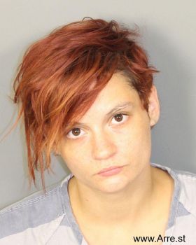 Jessica Michelle Borders Mugshot