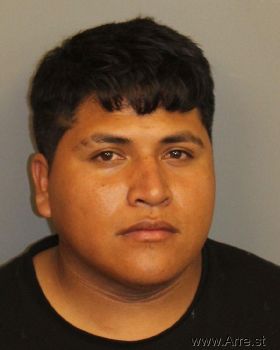 Jesus  Flores-martinez Mugshot