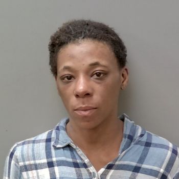 Jonita Lynn Johnson Mugshot