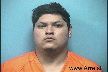 Jose Luis Gallegos-silva Mugshot