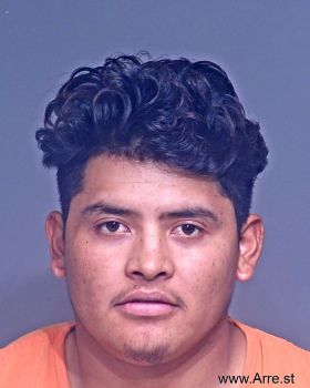 Jose Luis Magana-magana Mugshot