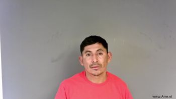 Jose Benjamin Mejia/flores Mugshot