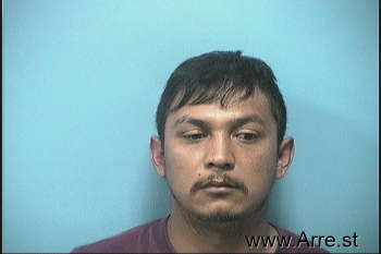 Juan Manuel Gallegos-silva Mugshot