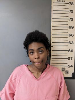 Juanita Alexis Jenkins Mugshot