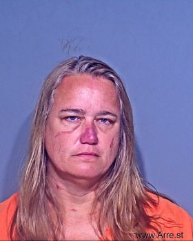 Julie Sherman Johnson Mugshot