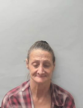 Julie Remae Vanpelt Mugshot