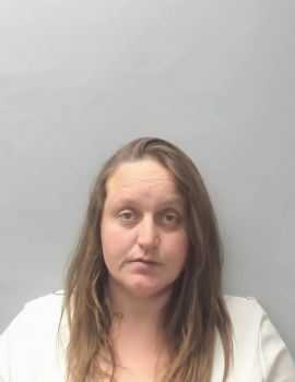 Karen Jean Wilson Mugshot