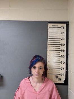 Kayla Michelle Wilson Mugshot