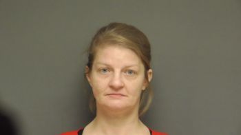 Kelli Lynn Wyatt Mugshot