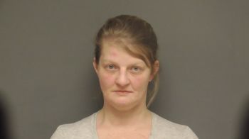 Kelli Lynn Wyatt Mugshot