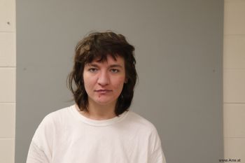 Kerri  Wells Mugshot