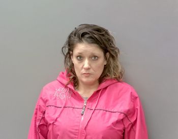 Kristin Dione Elkins Mugshot