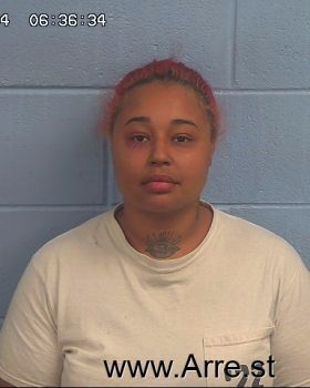 Kristina Paige Hodge Mugshot