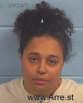 Kristina Paige Hodge Mugshot