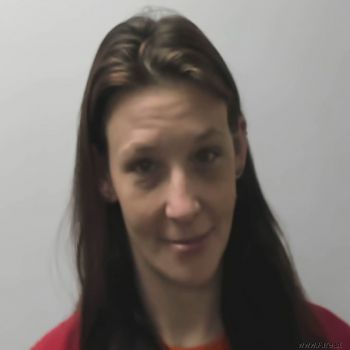 Lisa Colleen Andrews Mugshot