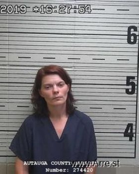 Lisa Marie Long Mugshot