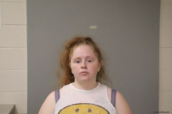 Lauren Ann Harris Mugshot