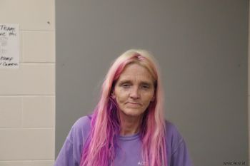 Leslie Dawn Williams Mugshot