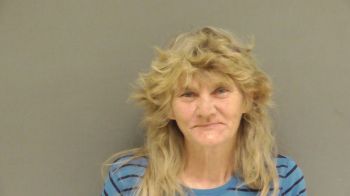 Lisa Nannie Bryan Mugshot