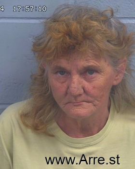 Lisa Nannie Bryan Mugshot