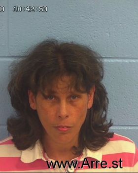 Lisa Johnson Chapman Mugshot