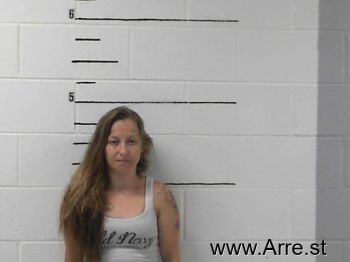 Lisa Ann Clark Mugshot