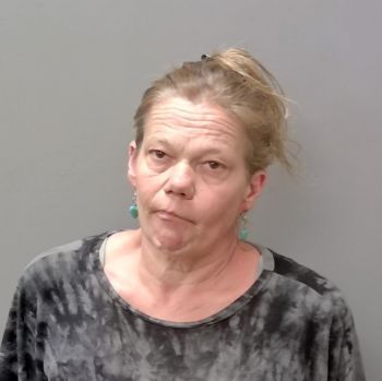 Lisa Powell Jones Mugshot