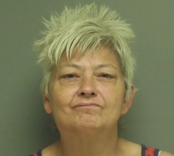 Lisa Sheryl Owen Mugshot