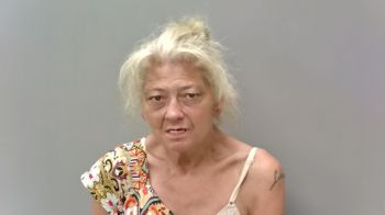 Lisa Sheryl Owen Mugshot