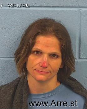 Lisa Marie Wilson Mugshot