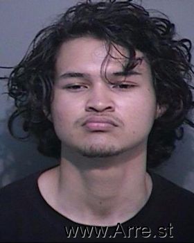 Luis Danerus Vasquez Mugshot