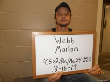 M. Trent Webb Mugshot