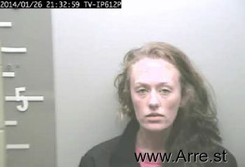 Megan Lynn Mitchell Mugshot