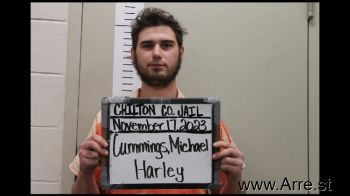 Michael Harley Cummings Mugshot