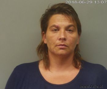 Michelle Lynn Ayers Mugshot