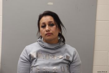 Maria De La Luz Sanchez-chino Mugshot