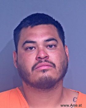 Marlon David Gonzalez-salinas Mugshot