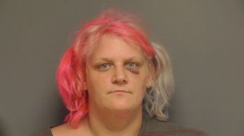 Mary Ernestine Davis Mugshot