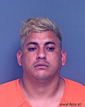 Mauricio Alfred Gonzalez-reyes Mugshot