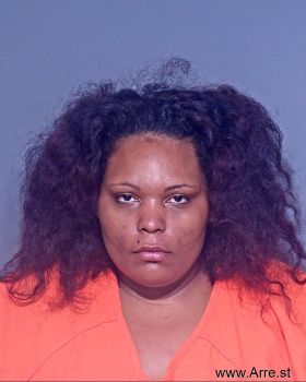 Megan Rene Palmer Mugshot