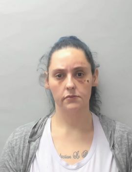 Megan Rae Strickland Mugshot