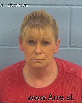 Melissa Mckinney Howard Mugshot