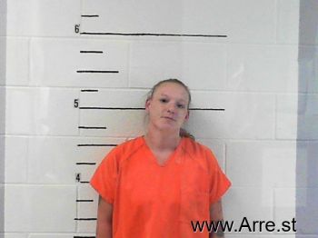 Melissa Ann Langley Mugshot