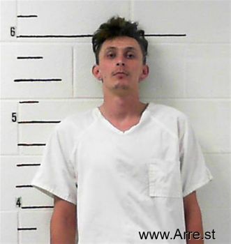 Mesa Levi Lowe Mugshot