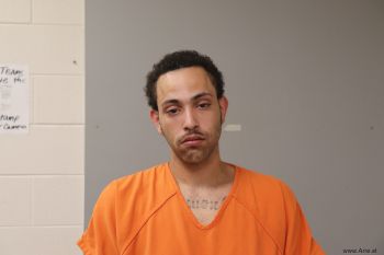 Michael Lakota Ford Mugshot