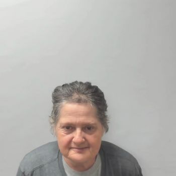 Michelle Vice Brown Mugshot